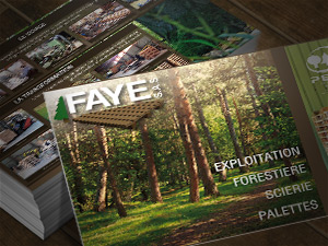 Brochure commerciale : Faye SAS